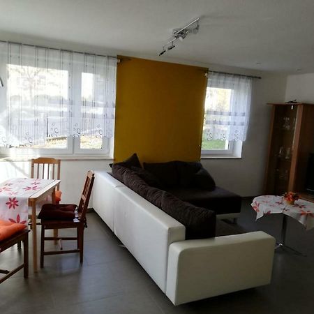 Ferienwohnung, Monteurwohnung Grossrohrsdorf エクステリア 写真