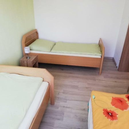 Ferienwohnung, Monteurwohnung Grossrohrsdorf エクステリア 写真
